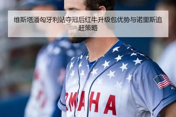 维斯塔潘匈牙利站夺冠后红牛升级包优势与诺里斯追赶策略